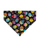 Dog Bandana - Hello Birthday Cupcake