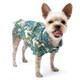 Dog Hawaiian Shirt - Tropical Leaf