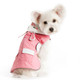 Dog Raincoat - Bunny