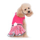 Dog Dress - PP Lady