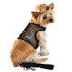 Mesh Dog Harness - Solid Black