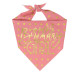 Dog Bandana - Gold Foil Birthday Girl