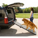 Dog Ramp - Full Length Tri-Fold - Grey / Black