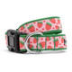 strawberries dog collar