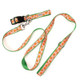 peachy dog collar and leash set
