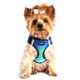 Choke Free Ombre Mesh Dog Harness - Northern Lights