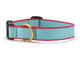 Color Market Aqua and Coral Dog Collar