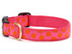 Pink Orange Dot Dog Collar