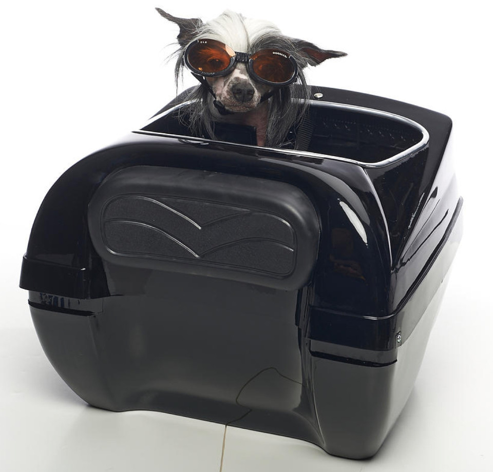 Cool Motorcycle Dog Carrier Rockstar Puppy