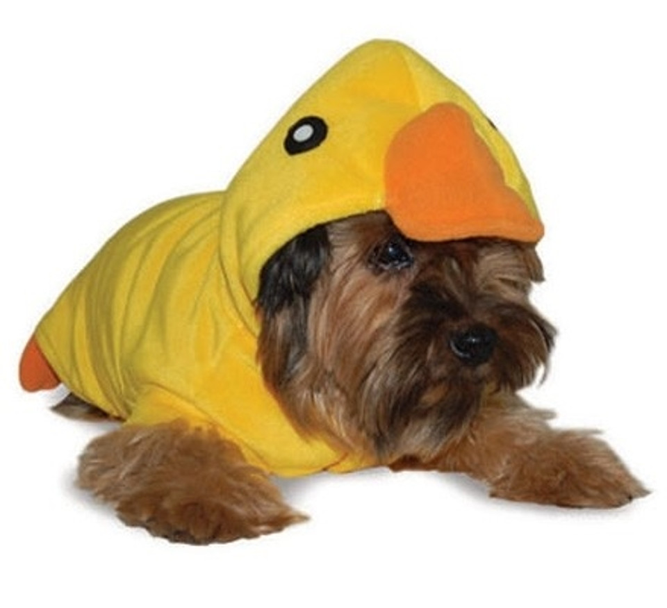 Designer Dog Clothes Bathrobe for Dogs Dog Bathrobe Pajamas