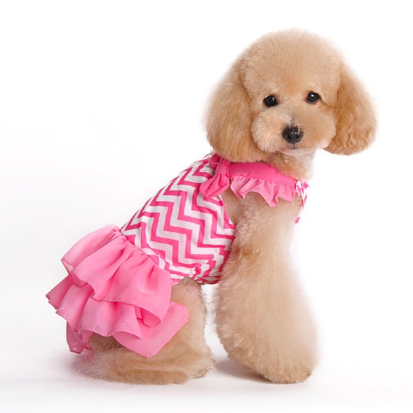 Dear My Puppy - Chanel Dress #dogfashion #dogdress