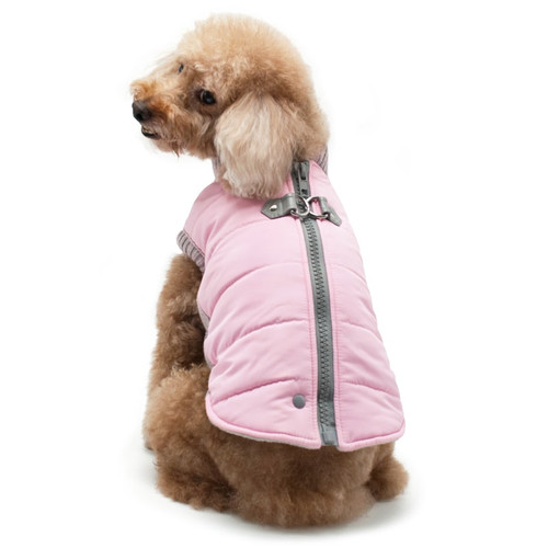 Dog Coat Runner Coat Pink Rockstar Puppy Boutique