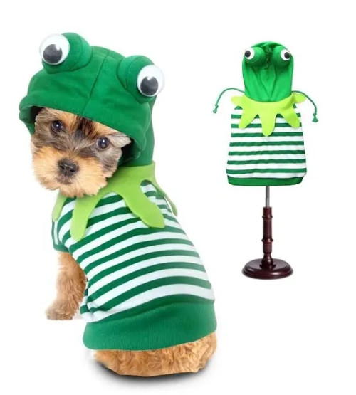 Frog Dog Costume Rockstar Puppy Boutique
