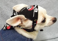 Pirate Skull Dog Doo Rag