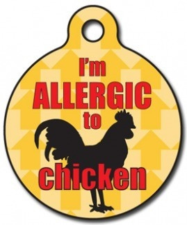 Chicken Allergy Medical Alert Dog ID Tag | Medical Alert Dog ID Tags ...