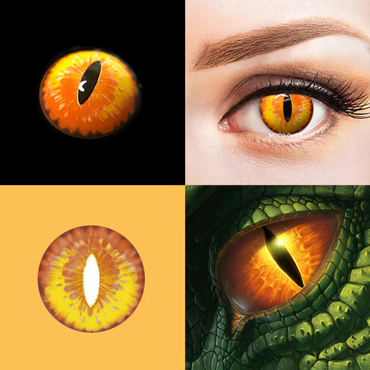 Dragon Eye Contacts-Vivid Dragon Eye Yellow Non-Prescription Plano Colored  Contacts Lenses-Wherecolour