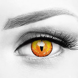 Dragon Maid Saja Boys Gold Yellow Crazy Lenses (Prism Ballast-Prevents Rotating Tech)