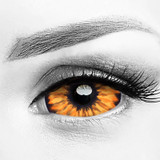 Elf Orange Eye Sclera 22mm Halloween Costume Contacts