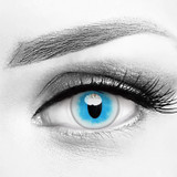 Anime Ragdoll Cat Blue Halloween Costume Contacts