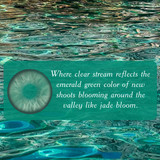 Jade Bloom Green Designer Colored Contacts  Copywriting