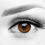 Butterfly Effect Brown Costume Contacts