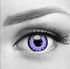 Purple Monster Halloween Costume Contacts