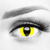 Yellow Cat Eyes Contacts