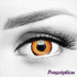 Yellow Orange Werewolf Halloween Contacts (Rx)