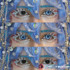 Moco Jelly Sapphire Costume Contacts UGC