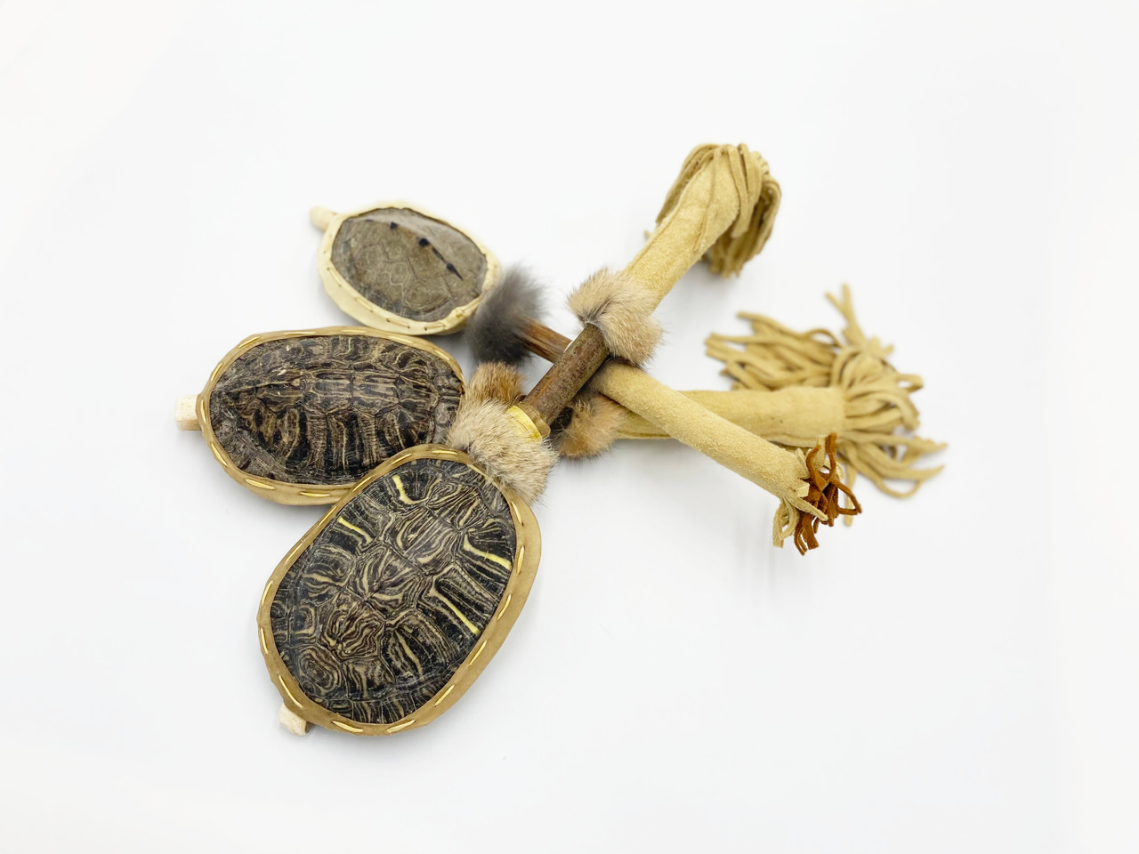 Turtle Shell Rattle - Sunreed Instruments