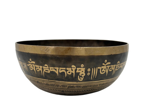 12" E/B Note Etched Singing Bowl Zen Himalayan Pro Series #e29250324