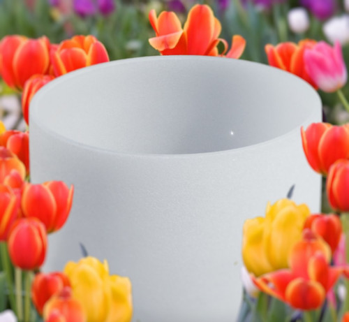 12" D# 440hz Garden Frosted Crystal Singing Bowl