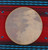 14" Buffalo Native American Frame Drum B1465