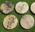Native American Bear Skin Frame Drums