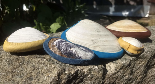 Sea Sound Shell Rattles - Sunreed Instruments