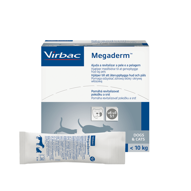 400086_Packshot_Megaderm_28x4ml_face.png