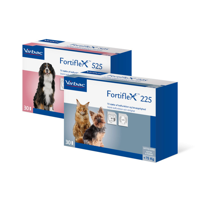 Fortiflex™ Fortiflex™