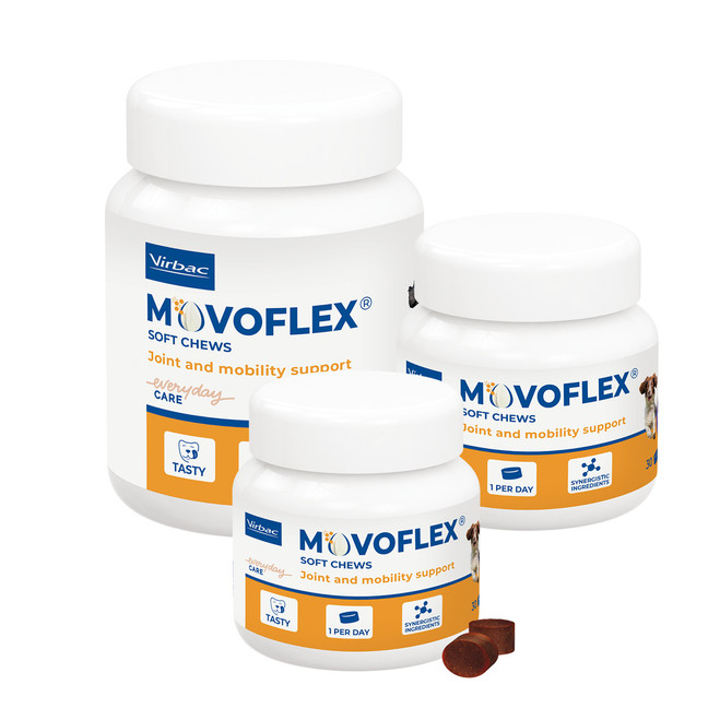 Movoflex® tuggbitar – Stöd till leder och mobilitet Movoflex® tuggbitar – Stöd till leder och mobilitet