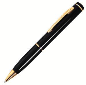 Motion-Activated Camera Pen Recorder Motion-Activated Camera Pen Recorder