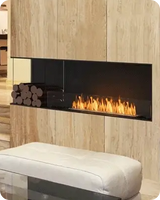 EcoSmart Fire
