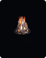Logs