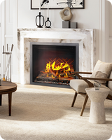 Fireboxes & Inserts
