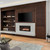 Empire Boulevard 36" Direct-Vent Linear IP Gas Fireplace with Multi-Function Remote Control