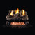 Real Fyre Evening Fyre 24-in Vent Free Gas Logs Only
