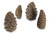 Real Fyre Designer Pine Cones- 4 Assorted Sizes