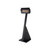 Dimplex Outdoor Portable 31,500 BTU Infrared Propane Heater