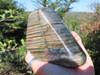 Polished A Grade Polished Labradorite Standing Free Form