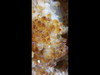 Citrine Church Crystal Cathedral Geode:  13" Tall