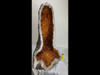 Citrine Church Crystal Cathedral Geode Tower - Elephant Foot - Almost 26" Tall