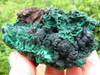 Medium Sized Silky Chatoyant Velvety Green Malachite Specimens 